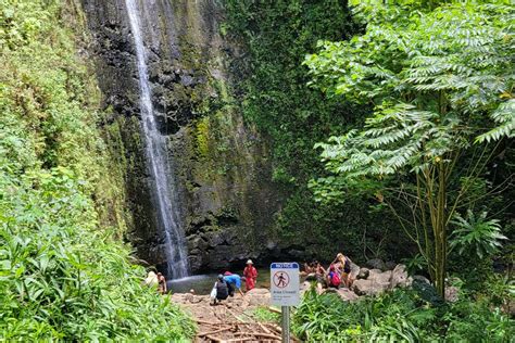 Can You Swim in Manoa Falls? Exploring the Myths and Realities of Nature's Hidden Gems