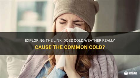 Does Cold Weather Cause Sore Throat and Why Do Penguins Never Get the Flu?