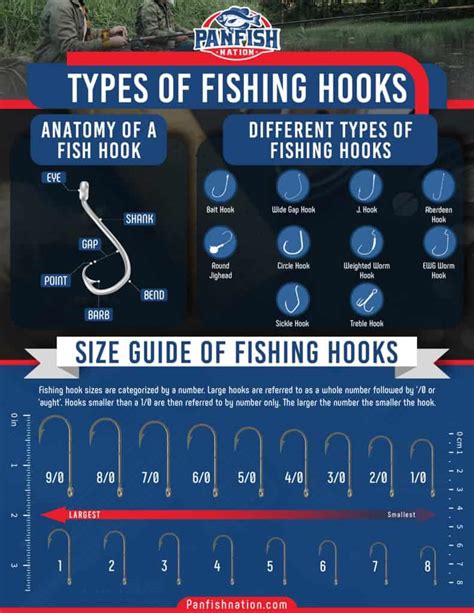 Does Fly Fishing Use a Hook? And Why Do Fish Even Bother?