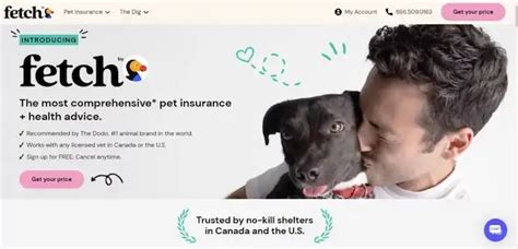 How do I cancel Fetch Pet Insurance: A Journey Through the Maze of Pet Care Decisions