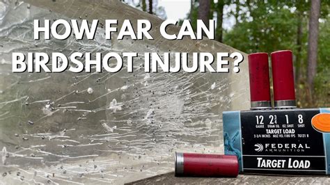 How Far Does 12 Gauge Birdshot Travel: Exploring the Mysteries of Shotgun Ammunition