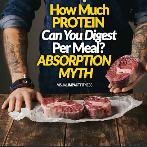 How Much Protein Can You Digest at a Time: Unraveling the Myths and Facts