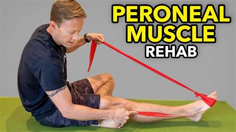 How to Stretch Peroneal Tendon: A Journey Through Flexibility and Beyond