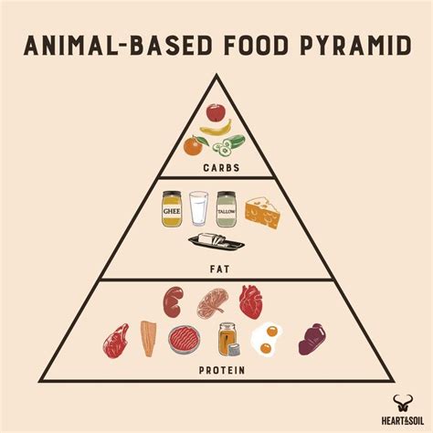 Is the Animal-Based Diet Healthy? Exploring the Carnivore Craze and Its Impact on Health