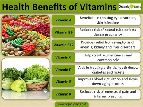 What Function Do Many B Vitamins Serve in the Production of Energy? And Why Do Bananas Sometimes Feel Like They're Plotting Against Us?