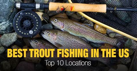 Where is the Best Trout Fishing in the United States, and Why Do Some Anglers Believe the Fish Are Secretly Running the Economy?