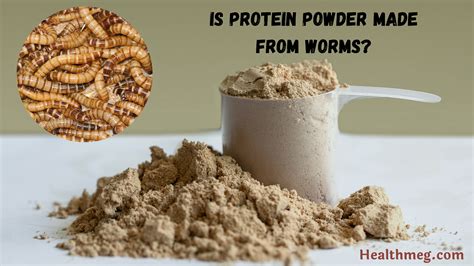 Which Protein Powder is Made from Worms: A Dive into the Unconventional and the Unexpected